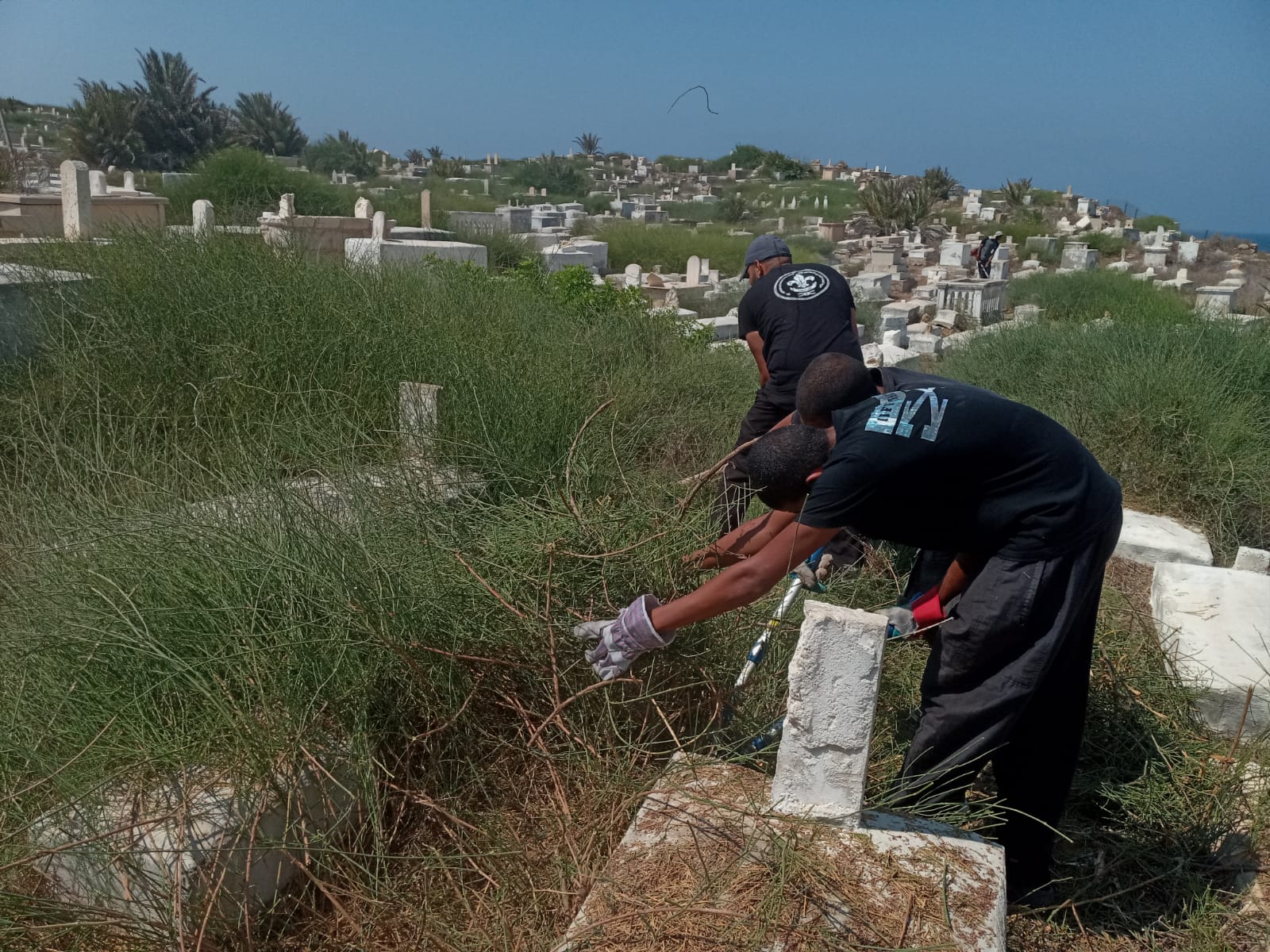 WhatsApp Image 2020-08-29 at 1.14.47 PM.jpeg.jpeg